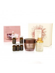 Egg BP Cell Routine Set –...
